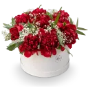 Box červených pivoněk